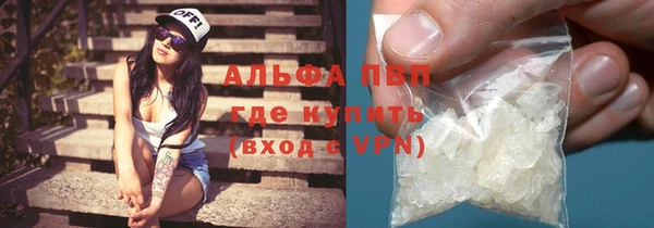прущие грибы Каменка
