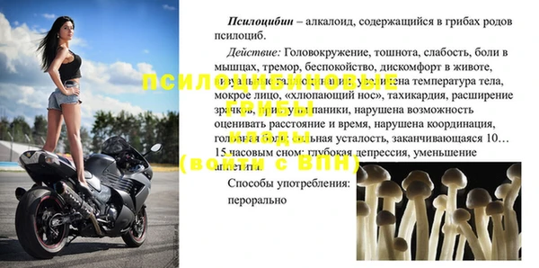 дживик Белокуриха