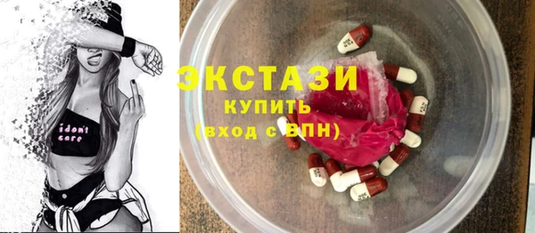 ECSTASY Гусь-Хрустальный