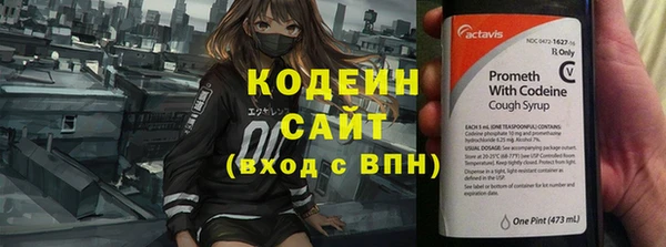 дживик Белокуриха